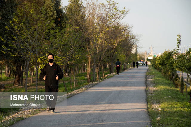 فقط پس از آن، به عنوان یک تاج، چگونه به ورزش؟