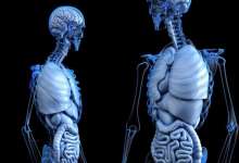 یک توصیه برای سلامت استخوان‌ها پس از جراحیِ کاهش وزن