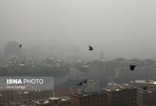 ۳ منبع بیشترین عامل آلودگی هوای کلانشهرها / لزوم اجرای قانون هوای پاک بدون هیچ ملاحظه