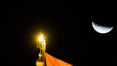 اصحاب امام حسین احتیاط / تفسیر شدید