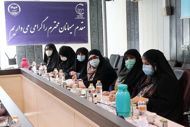 قاسمپور: به مقوله سلامت زنان به صورت کلان‌تر باید توجه شود