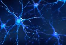 الیت نورون های مغز