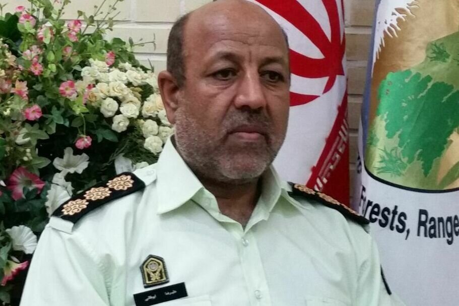 ۱۲هزار دام غیر مجاز از مراتع استان سمنان خارج شدند - خبرگزاری مهر | اخبار ایران و جهان