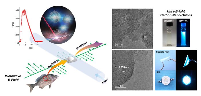 بردة پسماند ماهی به ماداد نانوکرربنی برای تکیں کیں کے کے کے کے