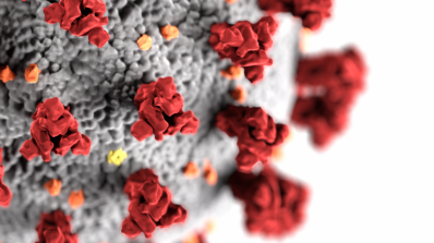 सुमेहाय गुद्धारी त्बले बह कुयिद