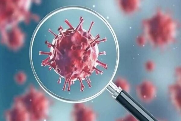 کرمانشاه بدون رنگ قرمز و نارنجی کرونایی/رنگ بندی جدید اعلام شد - خبرگزاری مهر | اخبار ایران و جهان