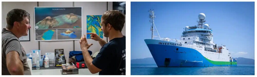 عکس  تصاویر وحشتناک و زیبا از حیوانات دریایی که در اعماق اقیانوس هستند!