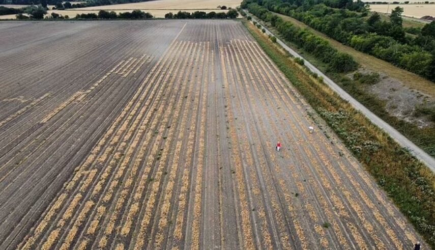 अधिव्य अग्या गर्मा बर पिजाजाय अंग्स |  محصولی که بیشتر اشک می آورد!