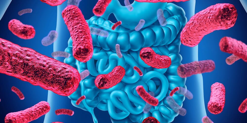 تاثیر پروبیوتیک‌ها بر کنترل و پیشگیری از سرطان معده