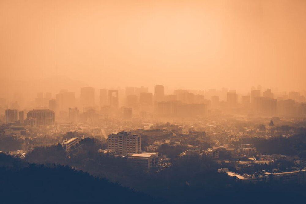 در هوای آلوده چی بیشتر بخوریم؟