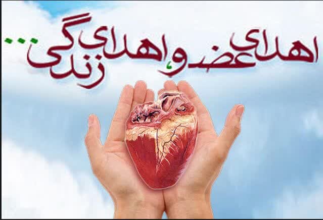 تصمیم در باریکه راه مـرگ و زنــدگی