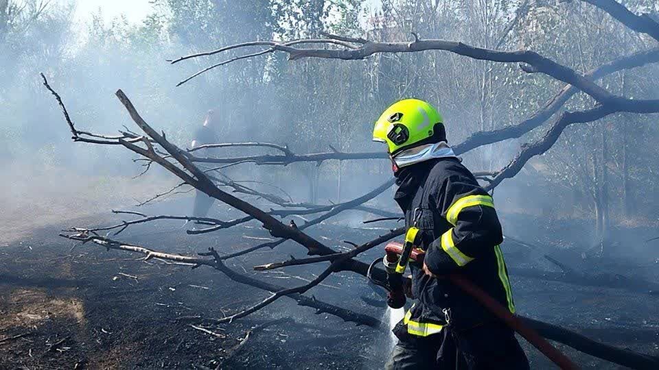 ۵۸۶ عملیات اطفا حریق و امداد و نجات در سنندج انجام شده است - خبرگزاری مهر | اخبار ایران و جهان