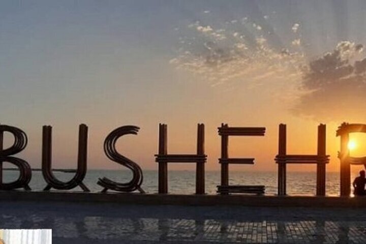 فضای شهری بوشهر برای نوروز بهبود یافت - خبرگزاری مهر | اخبار ایران و جهان