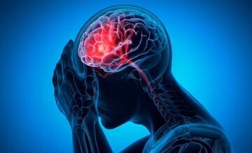 با مصرف این خوراکی مانع پیر شدن مغز شوید