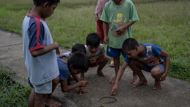 تصاویر؛ آخرین نگهبانان جنگل‌های آمازون